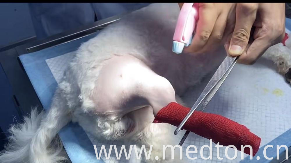 Medton Veterinary Elastic Bandage